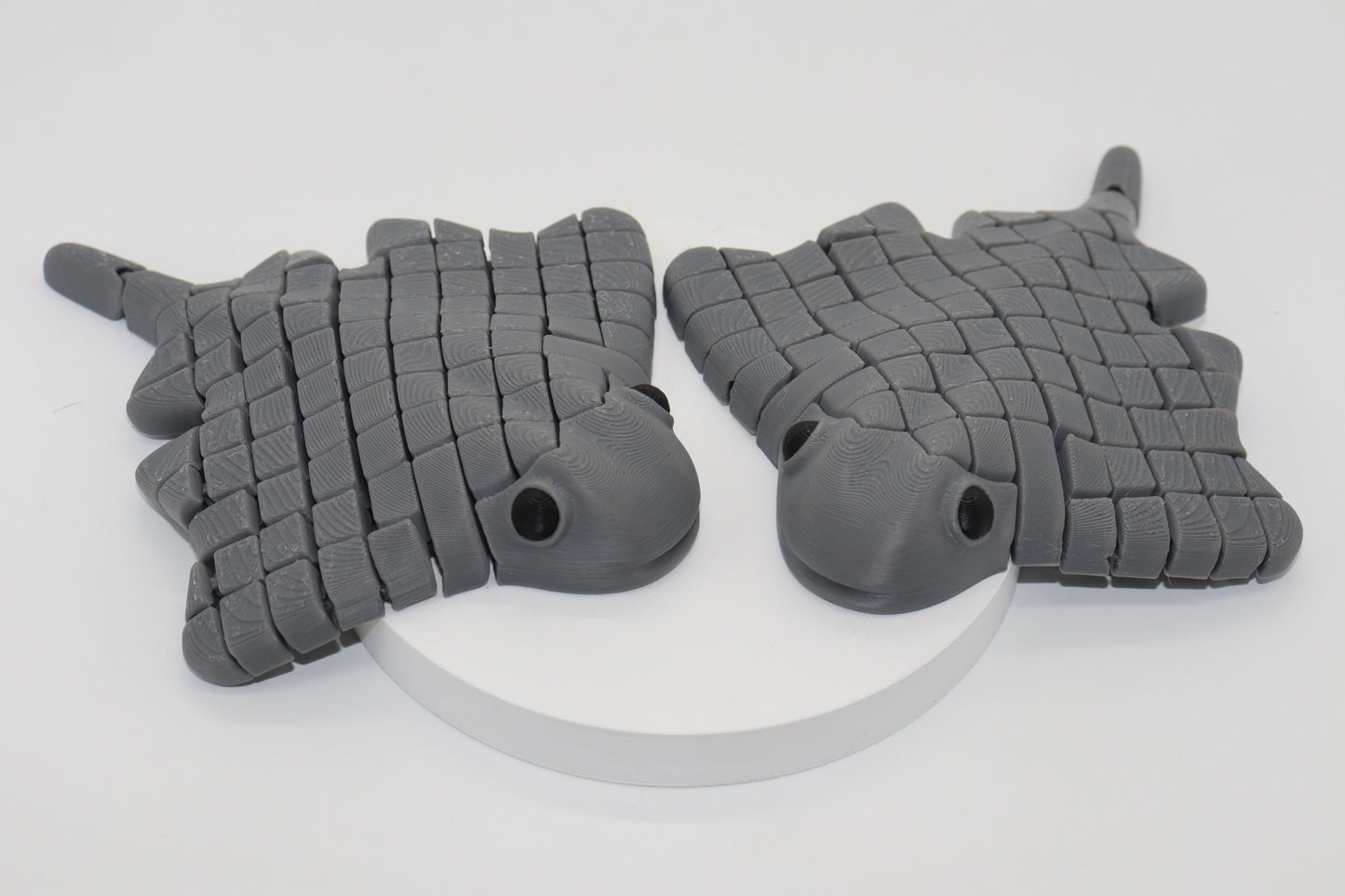 Flexi Stingray – Smooth Moves and Oceanic Grace